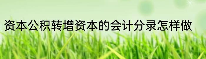 资本公积转增资本的会计分录怎样做