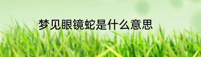 梦见眼镜蛇是什么意思