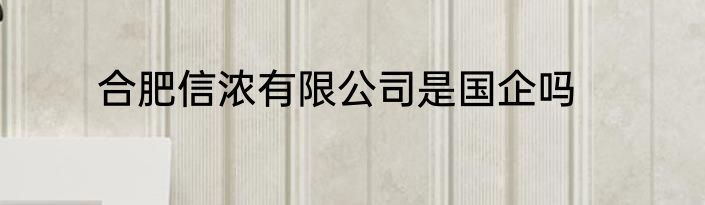 合肥信浓有限公司是国企吗