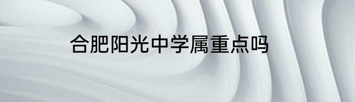合肥阳光中学属重点吗