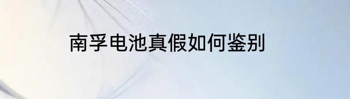 南孚电池真假如何鉴别