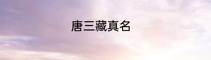 唐三藏真名