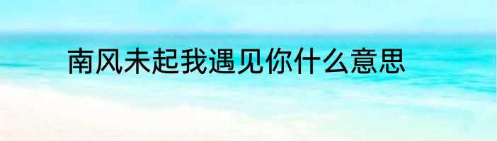 南风未起我遇见你什么意思