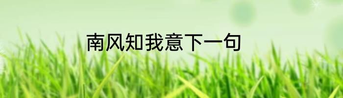 南风知我意下一句