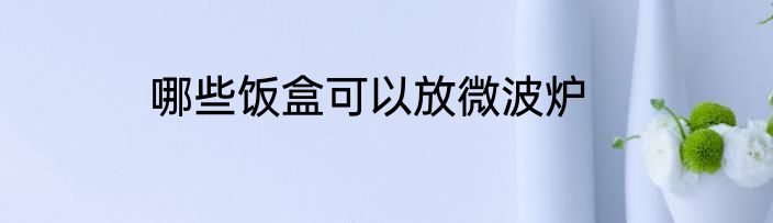 哪些饭盒可以放微波炉