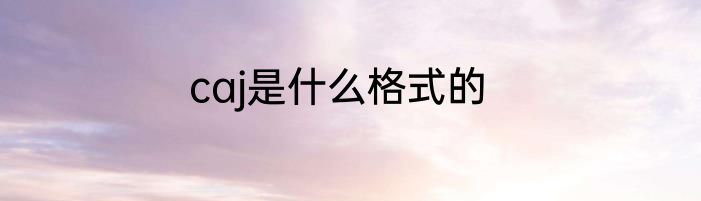 caj是什么格式的