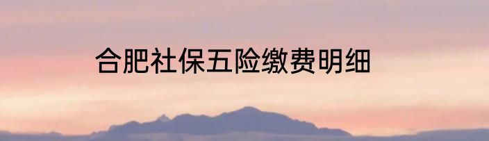 合肥社保五险缴费明细