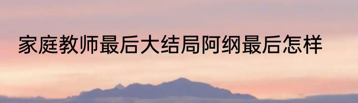家庭教师最后大结局阿纲最后怎样