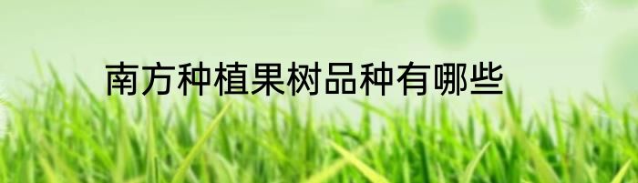南方种植果树品种有哪些