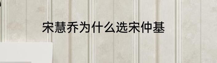 宋慧乔为什么选宋仲基