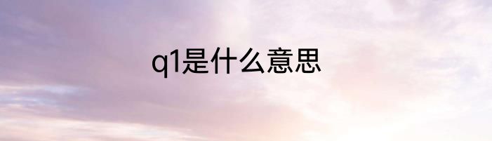 q1是什么意思