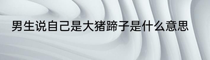 男生说自己是大猪蹄子是什么意思