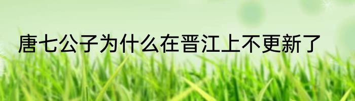 唐七公子为什么在晋江上不更新了