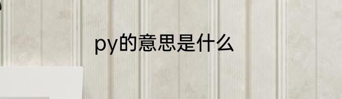 py的意思是什么