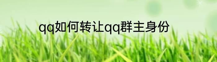 qq如何转让qq群主身份