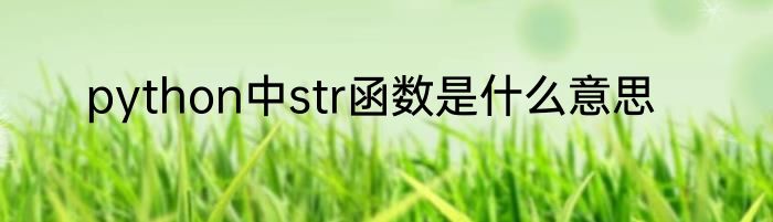 python中str函数是什么意思