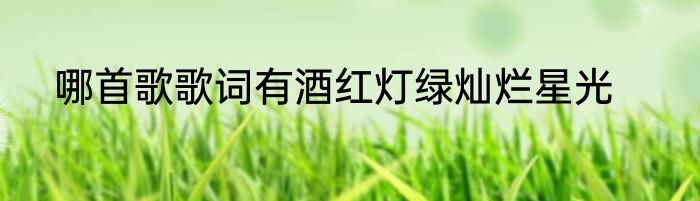 哪首歌歌词有酒红灯绿灿烂星光