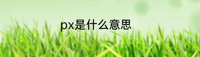 px是什么意思