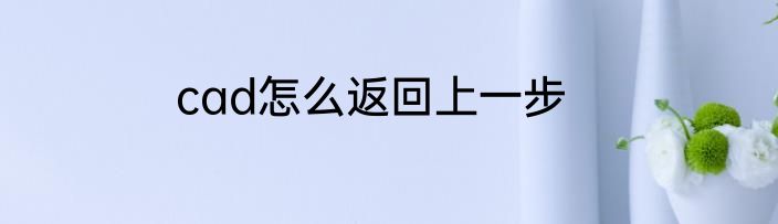 cad怎么返回上一步