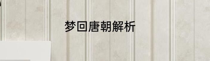 梦回唐朝解析