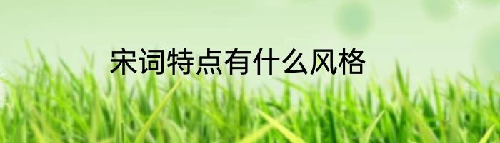 宋词特点有什么风格