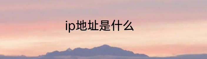ip地址是什么