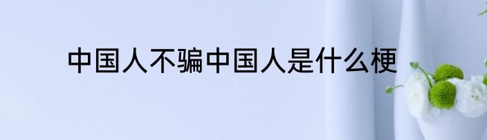中国人不骗中国人是什么梗