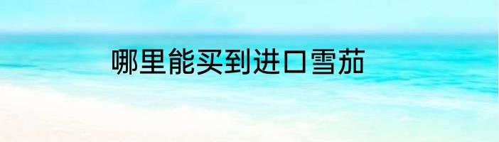 家庭出身填什么