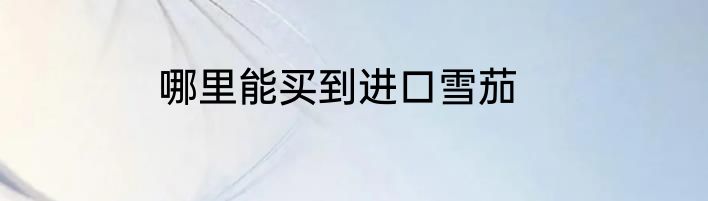 哪里能买到进口雪茄