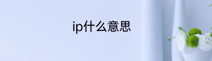 ip什么意思