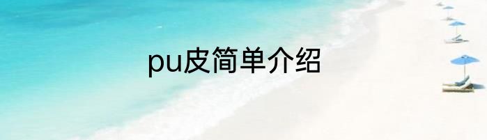 pu皮简单介绍