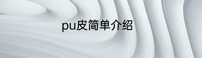 pu皮简单介绍
