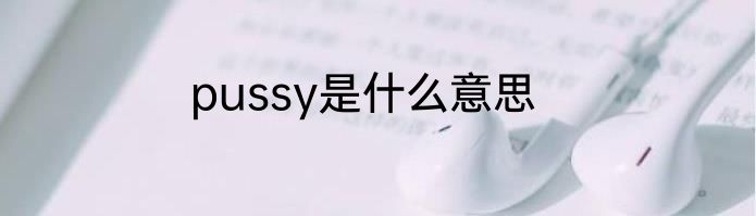 pussy是什么意思