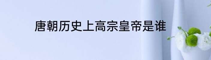 唐朝历史上高宗皇帝是谁