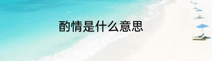酌情是什么意思