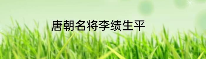 唐朝名将李绩生平
