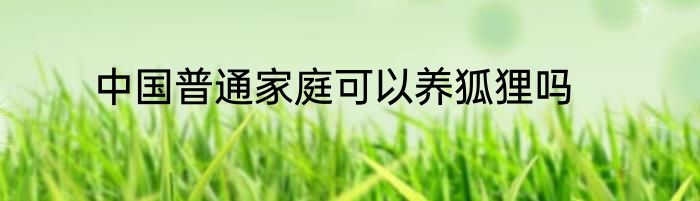 中国普通家庭可以养狐狸吗