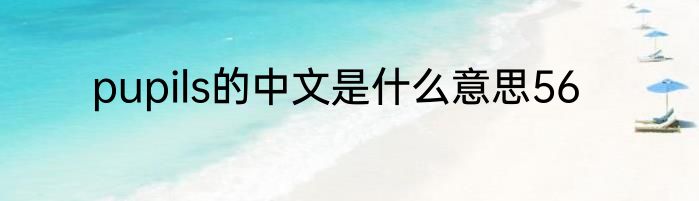 pupils的中文是什么意思56