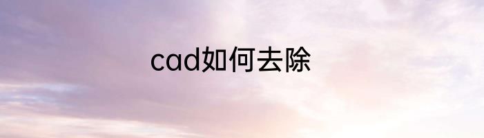 cad如何去除