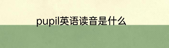 pupil英语读音是什么