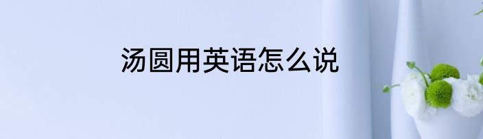 汤圆用英语怎么说
