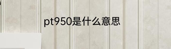 pt950是什么意思