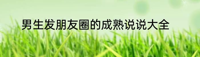 男生发朋友圈的成熟说说大全