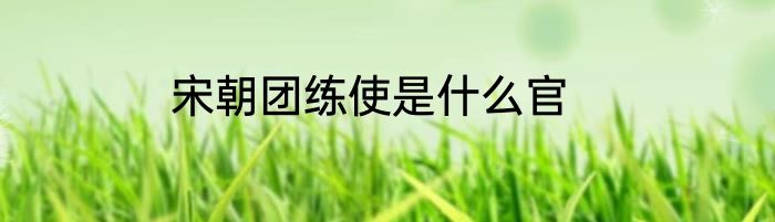 宋朝团练使是什么官