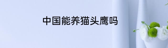 中国能养猫头鹰吗