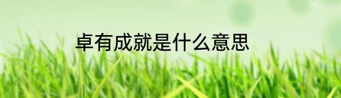 卓有成就是什么意思