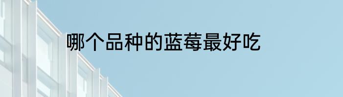 哪个品种的蓝莓最好吃
