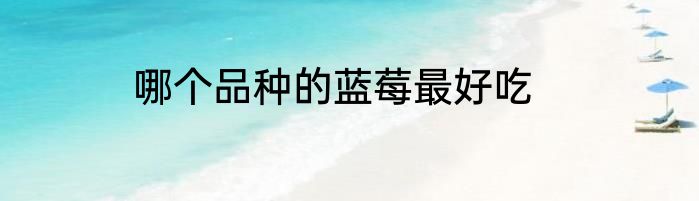 哪个品种的蓝莓最好吃