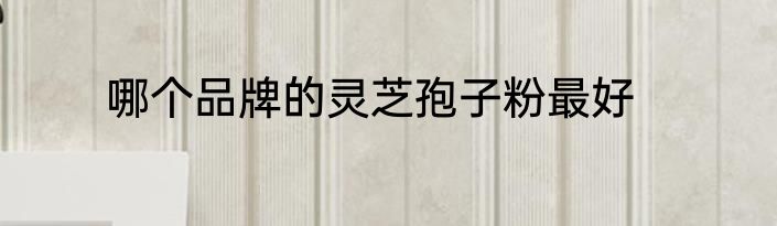哪个品牌的灵芝孢子粉最好