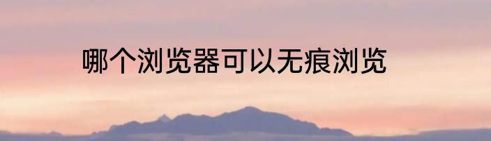 哪个浏览器可以无痕浏览
